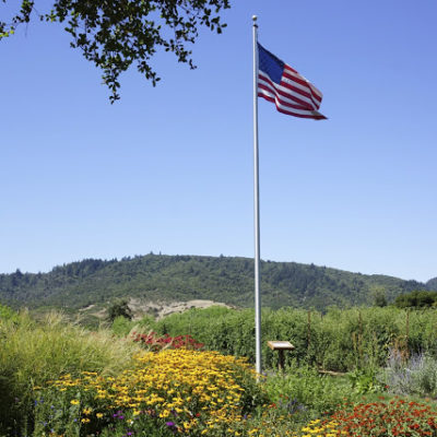 The French Laundry Pt 2: Chickens in the garden