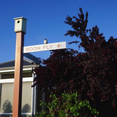 Breakfast at the Carneros Inn (Boon Fly and Hilltop)