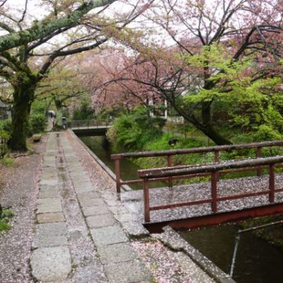 A walk on the Philosopher’s Path, Kyoto