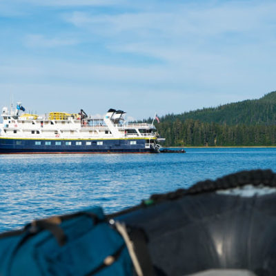 Lindblad National Geographic Sea Lion in Alaska