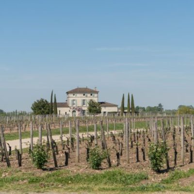 Touring the Right Bank, Bordeaux