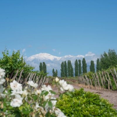 Cavas Wine Lodge, Mendoza