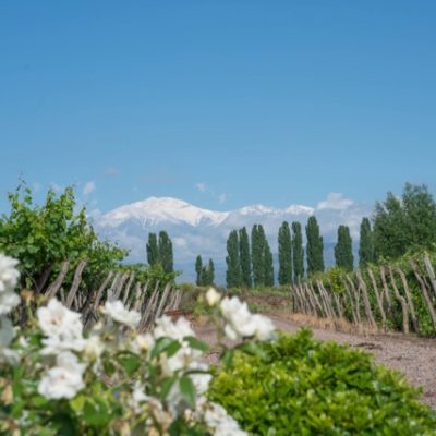 Cavas Wine Lodge, Mendoza