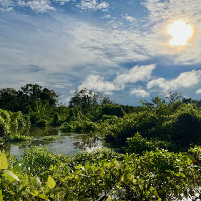 Upper Amazon, Peru