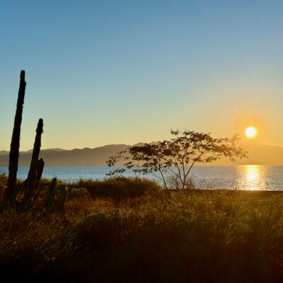 Baja California Sur with Lindblad